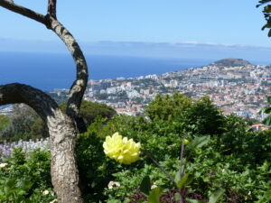 Madeira Funchal