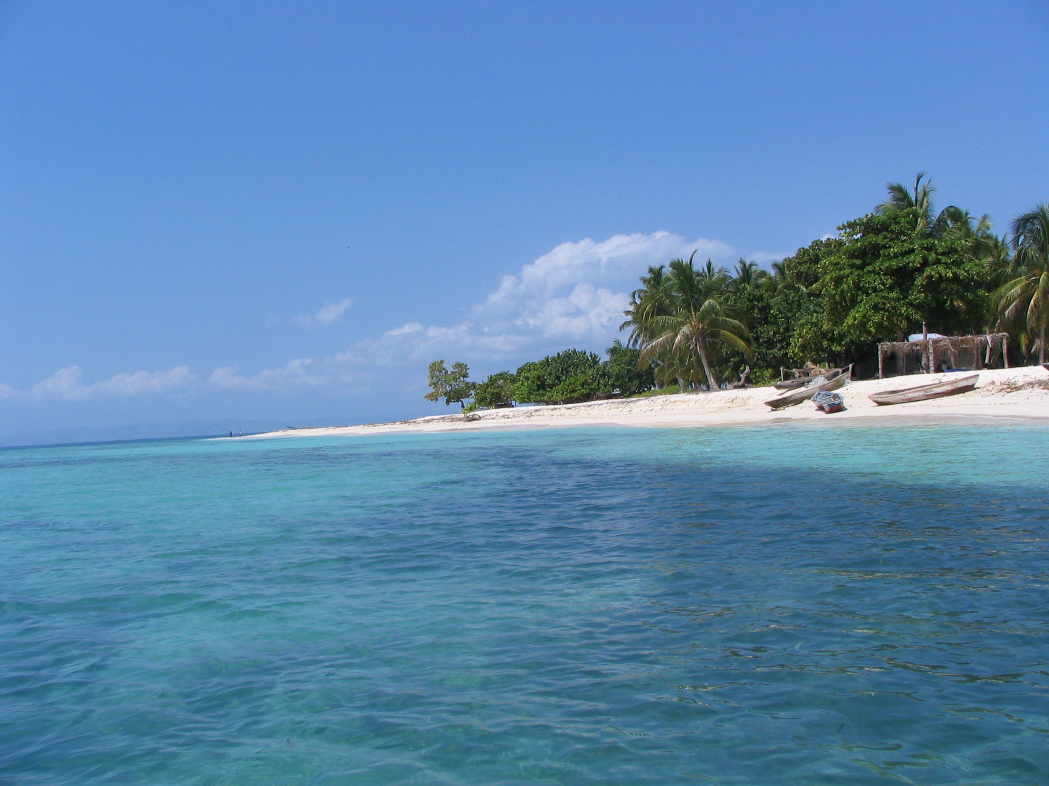 Tropischer Sandstrand mit Palmen und türkisfarbenem Meer unter blauem Himmel.